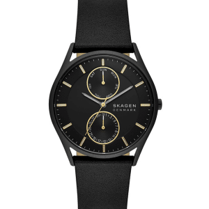 SKAGEN HOLST SKW6911