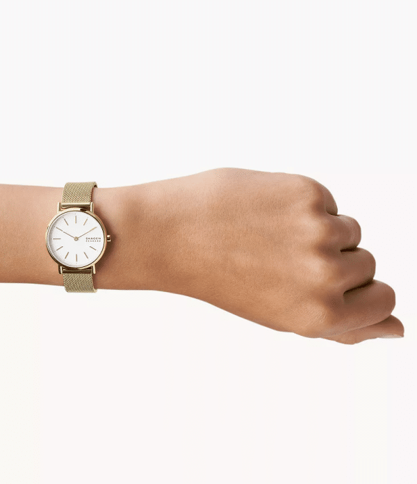 SKAGEN SIGNATUR LILLE SKW2693 - Bild 2