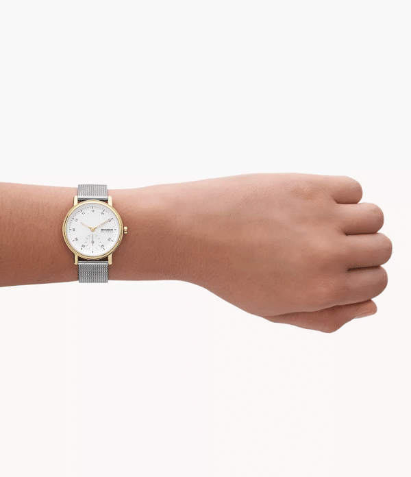 SKAGEN KUPPEL LILLE SKW3101 - Image 3