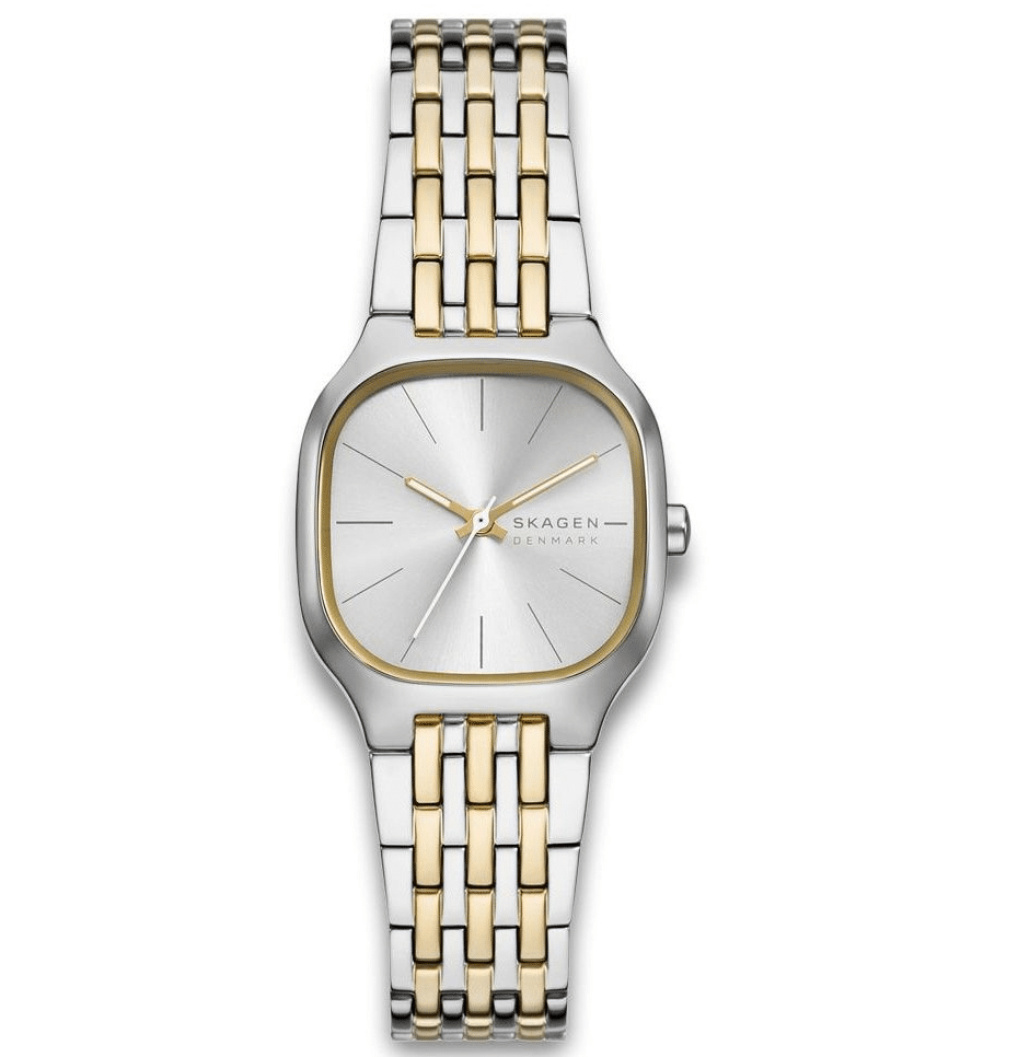 SKAGEN MELLEM LILLE SKW3160